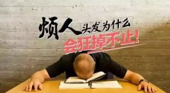 武汉治脂溢性脱发_年轻人脱发有着多方原